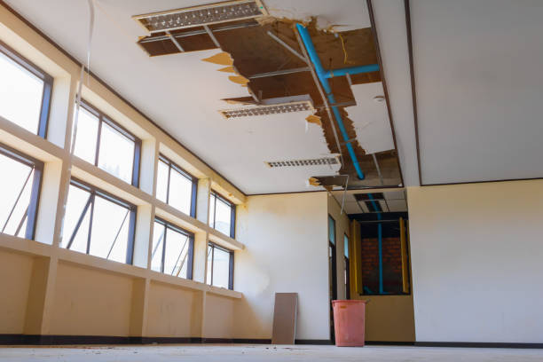 Best Carpet water damage restoration  in Kalaeloa, HI