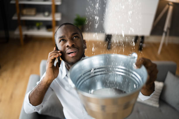 Best Water damage restoration services  in Kalaeloa, HI