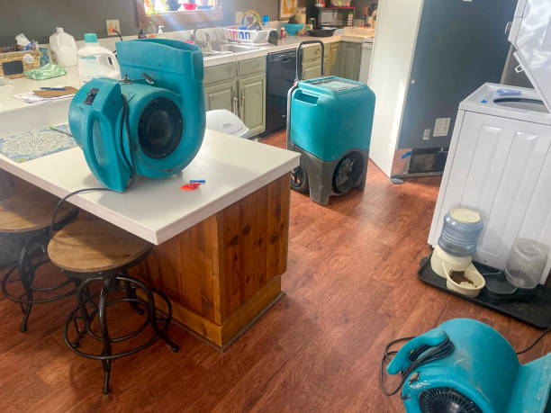 Best Ceiling water damage repair  in Kalaeloa, HI