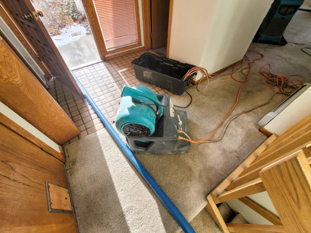 Best Water damage contractors near me  in Kalaeloa, HI