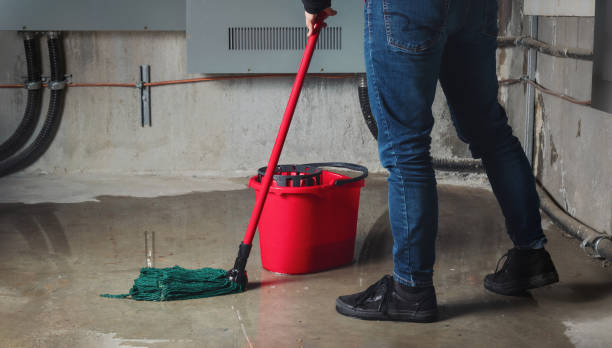 Best Ceiling water damage repair  in Kalaeloa, HI