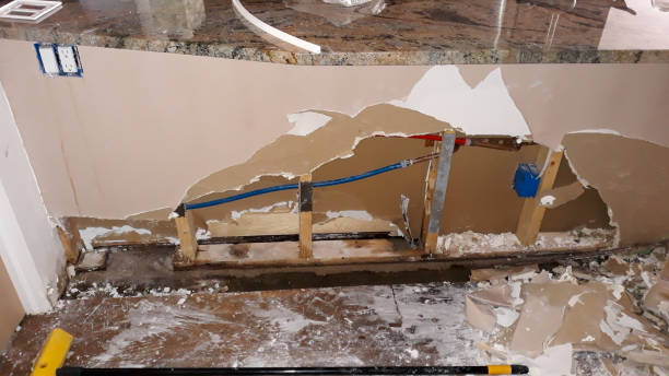 Best Local water damage restoration  in Kalaeloa, HI