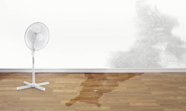 Best 24-hour water damage restoration  in Kalaeloa, HI