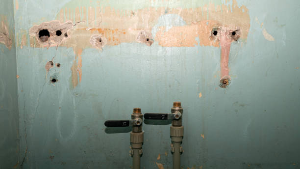 Carpet water damage restoration in HI