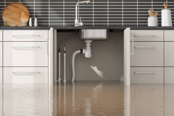 Best Water damage restoration specialists  in Kalaeloa, HI
