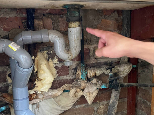Best Mold removal after water damage  in Kalaeloa, HI