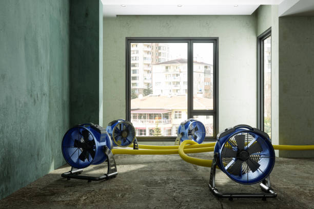 Reliable HI Water damage restoration Solutions